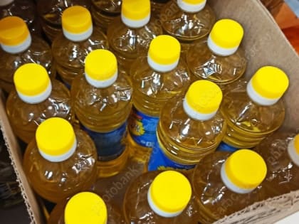 Область входит в российский топ-10 по экспорту сельхозпродукции