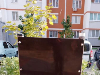 На территории города продолжаются работы по благоустройству