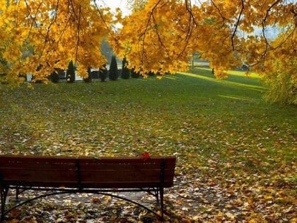 Жителей Саратова ожидает по-летнему теплый день