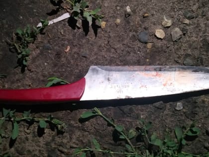 Под Саратовом пьяный "Отелло" ударил ножом в живот собутыльника