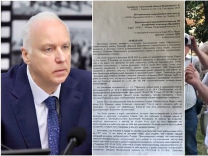 Общественность Маркса просит главу СК РФ проверить публичные заявления Дмитрия Романова