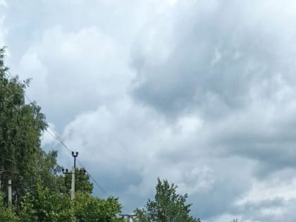 Актуальным вопросом в жизни города остаётся организация вывоза крупногабаритного мусора, складируемого жителями рядом с контейнерными площадками.