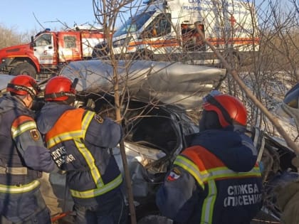 В столкновении "Камаза" и "Лады" у Красного Октября погибли два человека