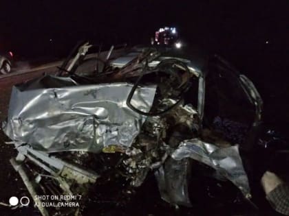 В ДТП на трассе в Петровском районе погиб водитель отечественного автомобиля