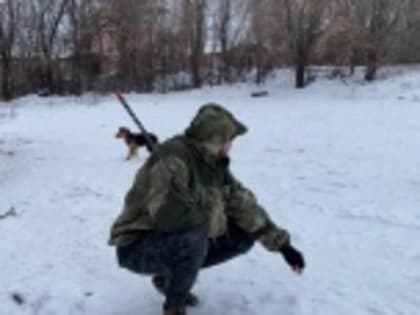 В Волжском районе состоялся выезд с целью отлова животных без владельцев