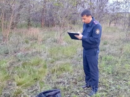 На саратовском поле тракторист нашел человеческие кости