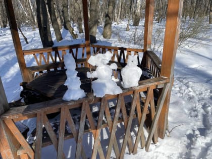 В Саратове 8 марта ожидается снег с дождем