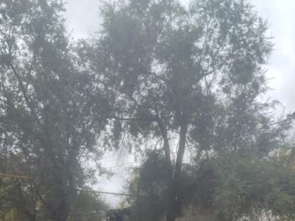 В Саратове рухнувшая стена расселенного дома оставила без газа многоэтажки