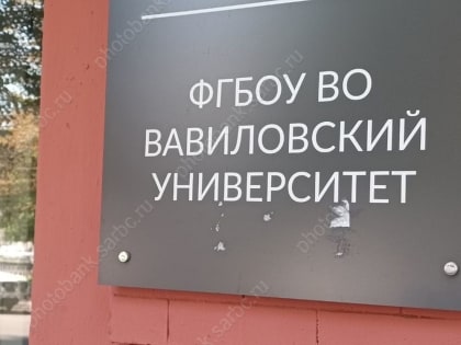 В Саратове пройдет День начинающего предпринимателя