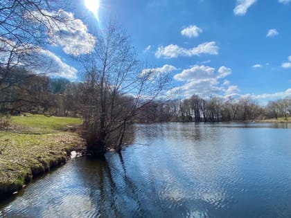 В Саратове тепло и без осадков