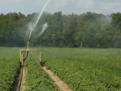 Саратовской области на мелиорацию выделено более 760 млн рублей