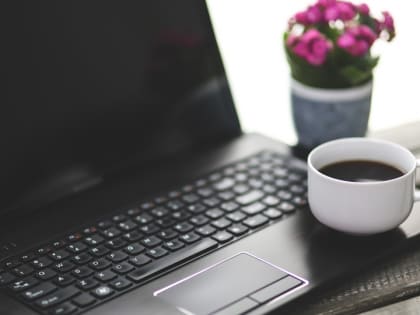 "Как собак нерезаных". На одну саратовскую вакансию пиарщика приходится 12 кандидатов