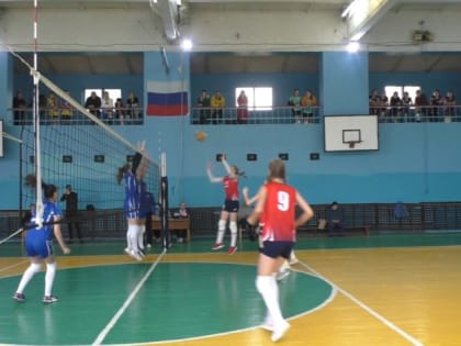 В Балаково стартовало первенство области по волейболу