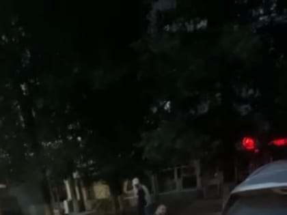 В центре Саратова на прохожих натравили собаку и устроили драку