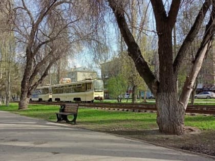 Северный ветер принесет похолодание в Саратовскую область