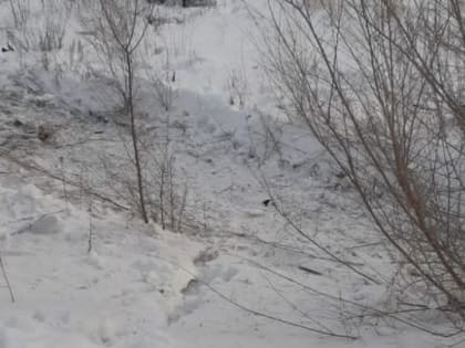 Подросток не справился с "Приорой". Его пассажир в больнице