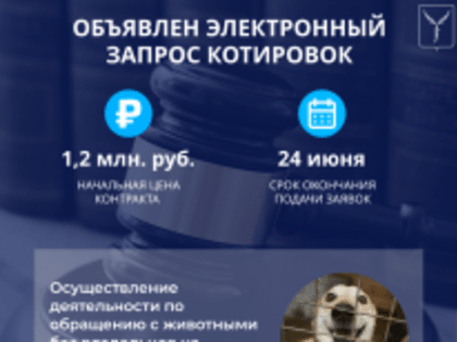 Размещен запрос котировок в электронный форме