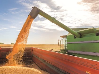 Аграрии Саратовской области собрали более 4 миллионов тонн зерна нового урожая