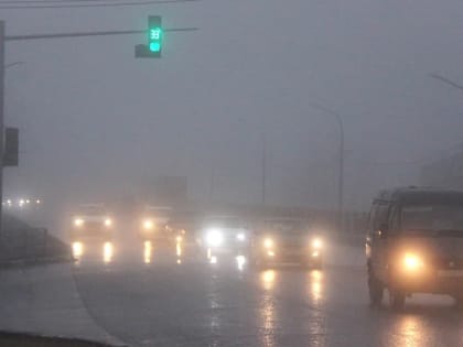 МЧС предупреждает саратовских водителей о густом тумане