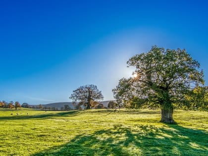 В Саратовской области выходные будут комфортные с температурой до +28 градусов