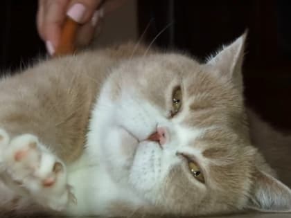 В Саратове солнечно и тепло сегодня