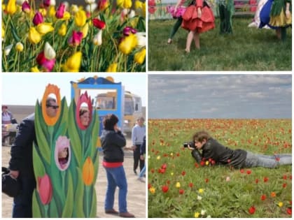 22 апреля состоится традиционный 8-й открытый природоохранный этнокультурный Фестиваль тюльпанов.