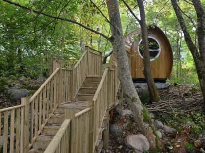 В Саратове ищут инвестора для создания курорта с глэмпингом у Дьяковского леса