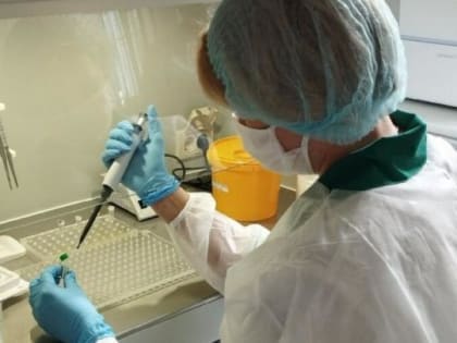 Управление ветеринарии рассказало о ситуации с птичьим гриппом в Саратовской области