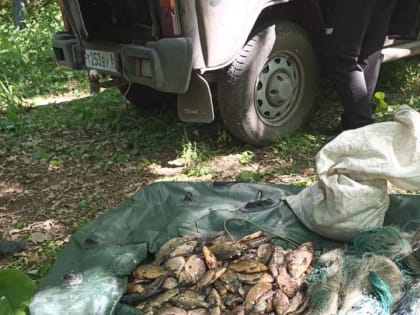 Нерестовый запрет. Восьми саратовским рыбакам грозят уголовные дела