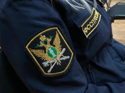 Саратовский чиновник погасил 6 млн рублей долга только после вмешательства приставов