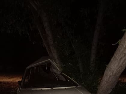 Водитель "Фольксвагена" врезался в дерево и погиб