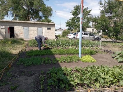 ГАУ СО КЦСОН Советского района практикует социальное направление работы с получателями услуг