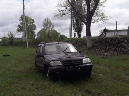 В съехавшей на обочину "Ниве" пострадали трое маленьких детей