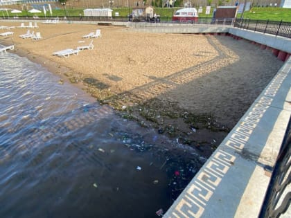 Саратовцы о Волге в районе набережной: "Просто мусорка!"