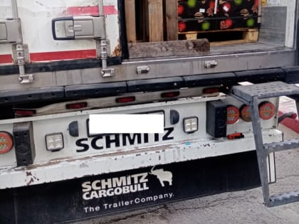 В Казахстан не выпустили 20 тонн яблок с сомнительной маркировкой