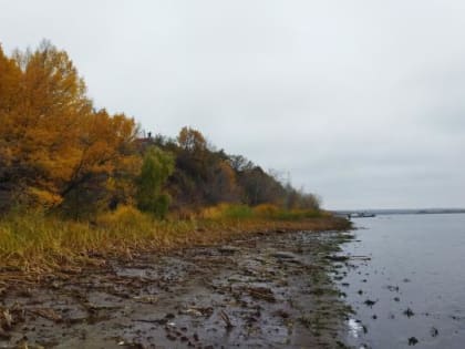 В Саратове облачно