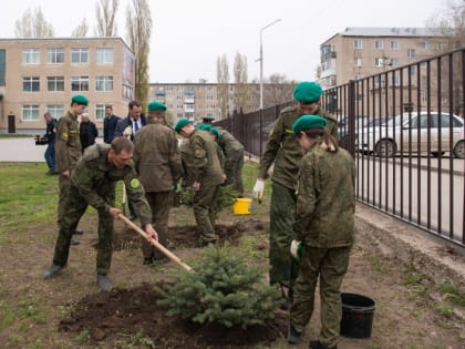 «Сад памяти» появился во дворе школы №1 г.Маркса