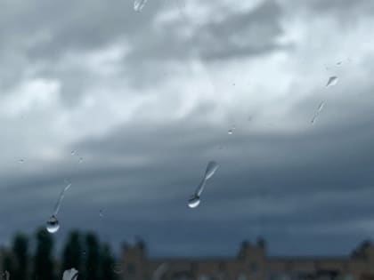 В Саратовской области ожидаются минусовая температура, дождь и туман: объявлен жёлтый уровень опасности