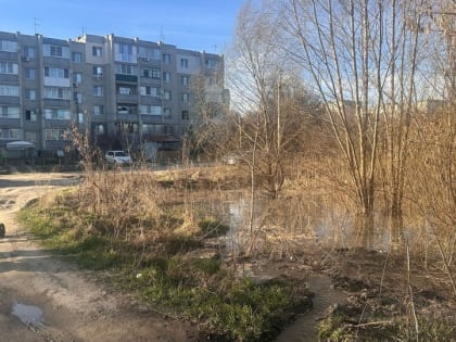 Речка-вонючка в Саратове. Отчаявшиеся горожане приглашают чиновников на 