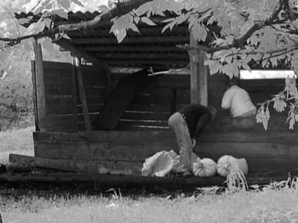 Под Саратовом воры похищают зерно из кормушек для диких зверей