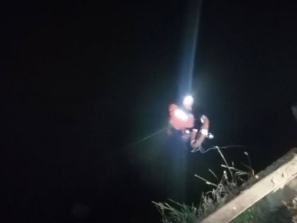 С моста Саратов-Энгельс в Волгу упала девушка