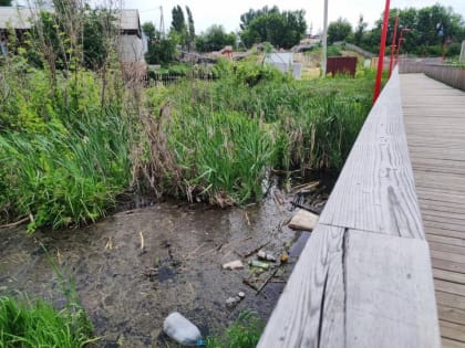 Закопать в землю 70 млн. Саратовский козий парк стал символом халатности и запустения