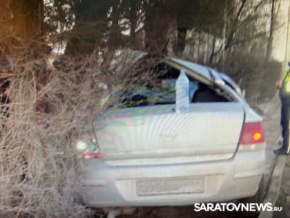 В Энгельсе иномарка врезалась в дерево: двое в больнице