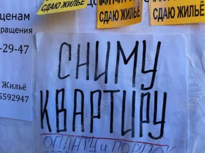 Число объявлений о сдаче в аренду квартир в городе снизилось наполовину