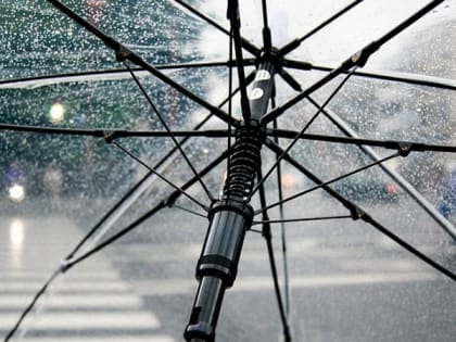 В Саратове ожидается дождивая пятница с ветром до 20 м/с