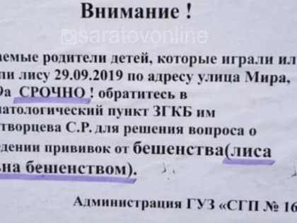 В Саратове лиса погибла от бешенства во дворе жилого дома