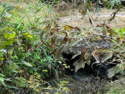 Жители Юриша задыхаются от запаха фекалий и просят убрать канализационные реки