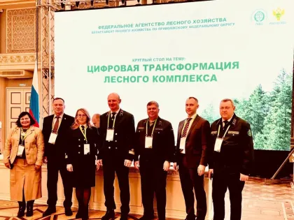В Ижевске обсудили эффективность исполнения переданных полномочий в области лесных отношений в ПФО