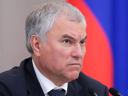 Володин о дефиците топлива: необходимо сначала обеспечить своих потребителей, а затем поставлять за границу