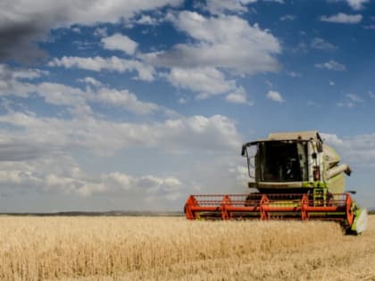 Саратовской области выделят 130 млн рублей на выплаты аграриям